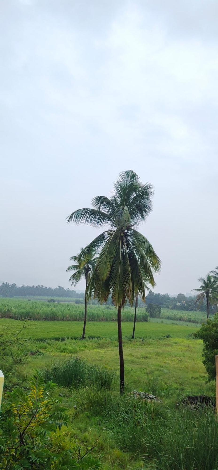 Raj Homestay Hampi Zewnętrze zdjęcie